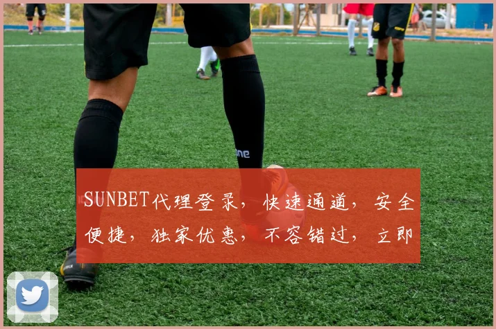 SUNBET代理登录，快速通道，安全便捷，独家优惠，不容错过，立即体验